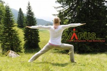 Der Biobekleidungshersteller Vapus.organics verschenkt den Samen des Ginkgo-Baumes  | Yoga Guide
