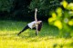 Luna Yoga® Kurse am Salzburger Stadtrand & online