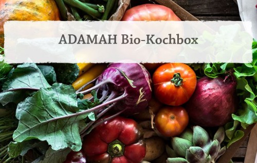 Adamah Bio-Kochbox Bio-RezeptKistl | yogaguide Tipp