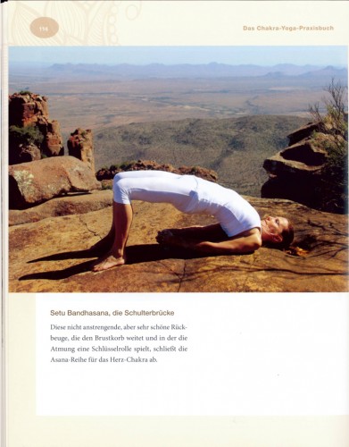 Das Chakra Yoga Praxisbuch | yogaguide