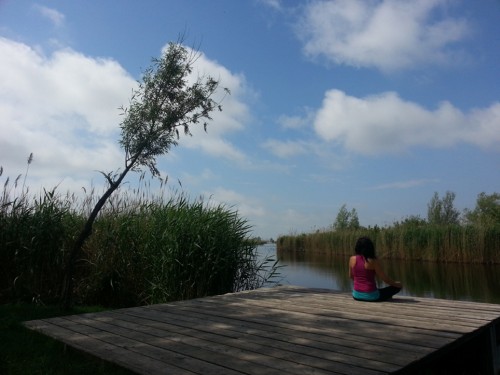 Sommeryoga am Neusiedlersee | yogaguide