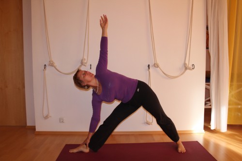 Yogaportrait | Gabriele Honauer yogainstitut Linz| Yoga Guide