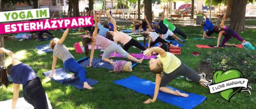 Yoga im Esterhazy Park | Yoga Guide
