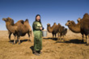 Ein Tag mit der mongolischen Kräuterfrau Nyamtseren  | yogaguide