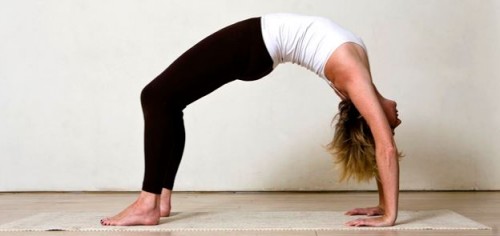 Catherine Anns | Little Yoga Room | yogaguide