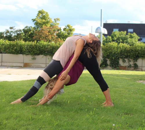 Start Ausbildung zum Yogalehrer & Ayurveda Professional | yogaguide