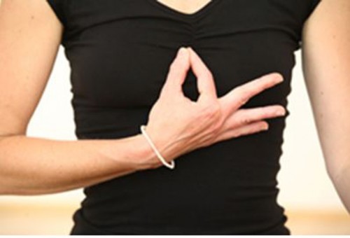 Ashtanga - Acht Glieder, ein Weg mit R. Sriram | Yoga Guide