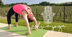 AshvaYogaPinzgau.jpg AshvaYogaPinzgau.jpg
