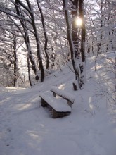 Winteryoga mit einer Prise Frühling