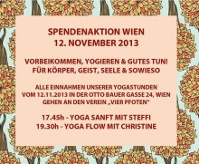 Spendenaktion Wien 12. November 2013 | yogaguide