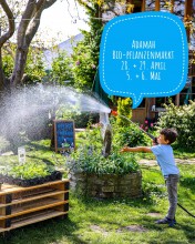 Adamah Bio-Jung-Pflanzenmarkt 2025 | yogaguide Tipp