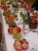 Herbstzeit ist Obstzeit! Am 17. und 18. Oktober 2009 ist Raritätenherbst im Arche Noah Schaugarten in Schiltern/NÖ