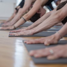 Open Studio Day im Ashtanga Yoga Linz | yogaguide Tipp