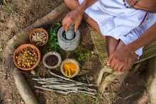 Seminar | Ayurveda - Grundlagen für Yogapraktizierende | yogaguide