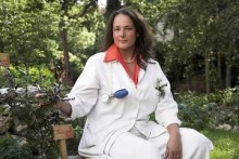 Dr. med. Petra M.O. Zizenbacher "Erste Hilfe aus der Küche"