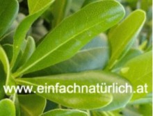 Einladung zur Verkostung der einfach natürlichen Produkte | Yoga Guide