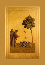 GEA Franz von Assisi Pfingst-Symposium | yogaguide Tipp