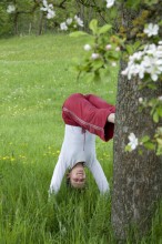 Yoga  Wochenende mit Andrea Groisböck in einer herrlichen Weingartenlandschaft | Yogasuche erfolgreich auf yogaguide.at  und mit Yoga Guide