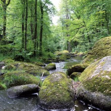 GEA Akademie | Seminar: In die Stille gehen