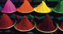 >>CHALO! INDIA<<            Ausstellung über indische Kunst im Essl Museum ab 1.9. 2009.  Sommerfest  am 20. uns 21. 6. 2009