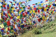 Yoga, LuJong und Tog Chöd in Indien | Yogareise mit Rosi Wagner | Yoga Guide News 