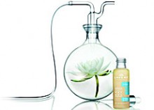 YogaGuide | Zertifizierte Naturkosmetik mit nachgewiesener Wirksamkeit: Die Produkte von Laveré ab Juli in den dm KosmetikStudios erhältlich