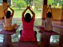 Seminarreise nach Indien Februar 2023 | yogaguide Tipp
