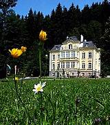 Yoga mit Erika Erber, Laufen mit Elmar Türk. Eine ideale Kombination zu Pfingsten im Nationalpark Kalkalpen in Windischgarsten/OÖ