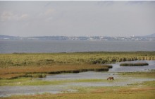 Yoga,  Wandern und Fasten am Neusiedlersee | Yoga Guide
