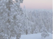 Rauhnächte Yoga-Online Retreat 