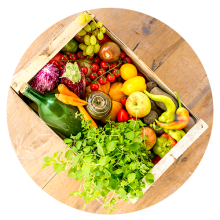 ADAMAH Bio-Retterkistl | yogaguide Tipp