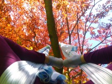 Fliegendes Yoga im Stadtpark Graz | Yoga Guide