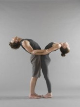 Forrest Yogaworkshop | Talya Ring & Steve Emmerman im bYOGA Studio Wien | Yoga Guide