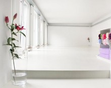  Tag der offenen Tür im TriYoga-Center Wien