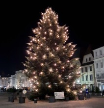 Weihnachten 2021 | yogaguide.at