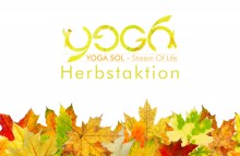 Neu im Herzen Wiens | Yoga SOL = gemütlich + modern  | yogaguide