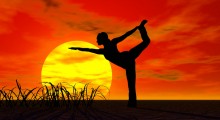  Yoga-Akademie Austria: Neue Yogalehrer-Ausbildungen ab Feb. 2013 | yogaguide