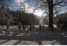Winteryoga mit einer Prise Frühling | Yoga Guide
