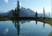 Yoga & Kräuter am Berg | Bestimmen. Verkosten. Rezepte. | YogaGuide