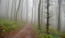 Yogaseminar | Leben und Sterben in der Sicht des Yoga | yogaguide