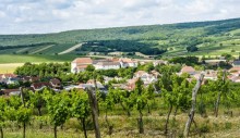 Yogatage im Weinviertel mit Veronica Wunderlich | Yoga Guide