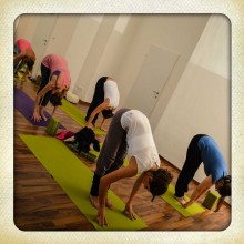 Der Yogawege Frühling ist da! | Yogaguide