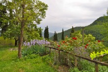 Tools for Inner Peace yogaretreats Tuscany | yogaguide