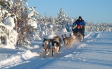 Naturerlebnis & Yoga in finnisch Lappland | Yogaguide