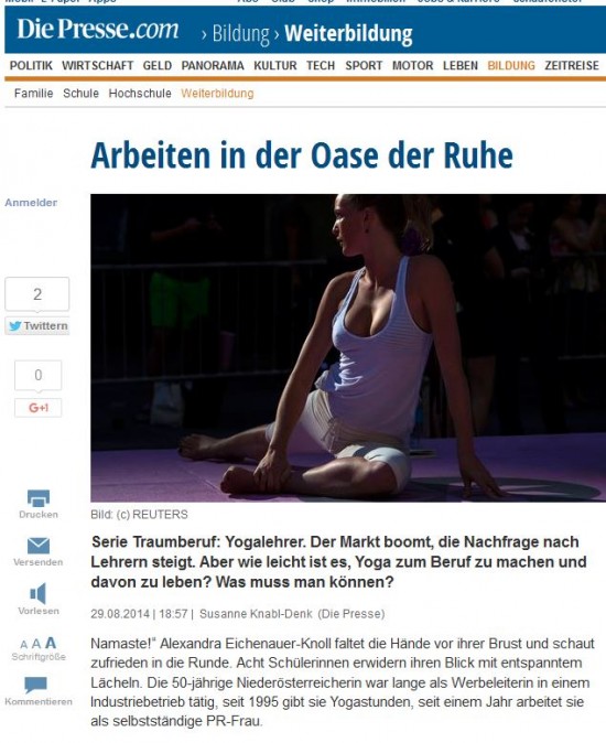 DiePresseOnline30_8_2014_01.JPG