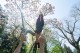 AcroYoga® FUNdamentals Intensiv Day - Samstag 16.07.2016