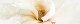 wochenende - yoga und ayurveda