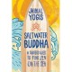Saltwater Buddha und YogaBlogs