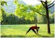 yoga auf der wiese sul prato ... geht weiter...