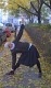 Hatha Yoga mit Linda